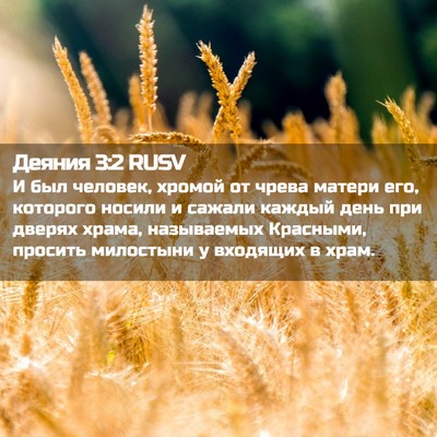 Picture 02 - Деяния 3:2 RUSV - И был человек, хромой от - Bible Verse Picture