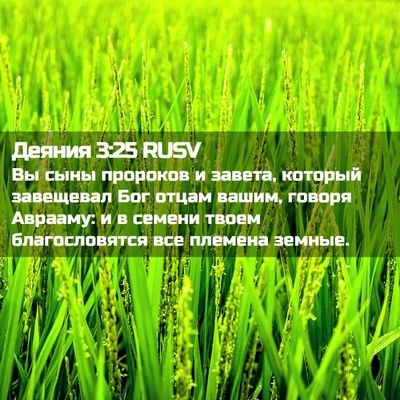 Picture 02 - Деяния 3:25 RUSV - Вы сыны пророков и завета, - Bible Verse Picture