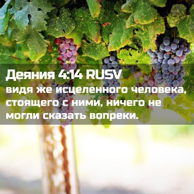 Picture 02 - Деяния 4:14 RUSV - видя же исцеленного - Bible Verse Picture