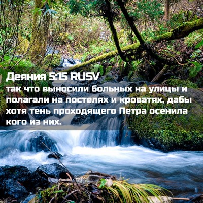 Picture 02 - Деяния 5:15 RUSV - так что выносили больных - Bible Verse Picture