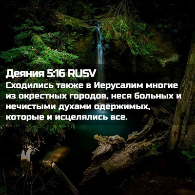 Picture 02 - Деяния 5:16 RUSV - Сходились также в - Bible Verse Picture