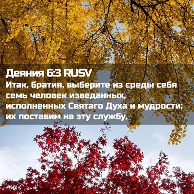 Picture 02 - Деяния 6:3 RUSV - Итак, братия, выберите из - Bible Verse Picture