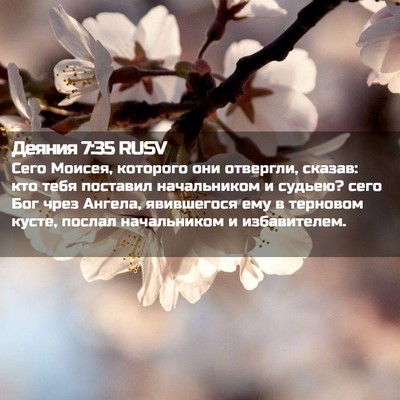 Picture 02 - Деяния 7:35 RUSV - Сего Моисея, которого они - Bible Verse Picture