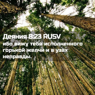 Picture 02 - Деяния 8:23 RUSV - ибо вижу тебя исполненного - Bible Verse Picture