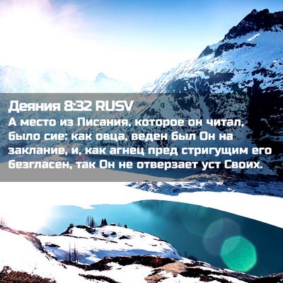Picture 02 - Деяния 8:32 RUSV - А место из Писания, которое - Bible Verse Picture
