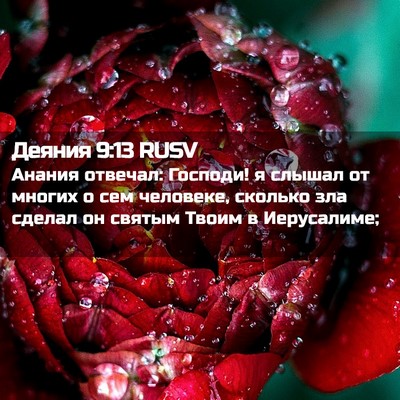 Picture 02 - Деяния 9:13 RUSV - Анания отвечал: Господи! я - Bible Verse Picture