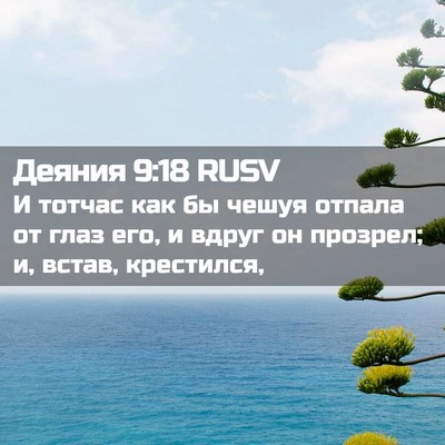 Picture 02 - Деяния 9:18 RUSV - И тотчас как бы чешуя - Bible Verse Picture