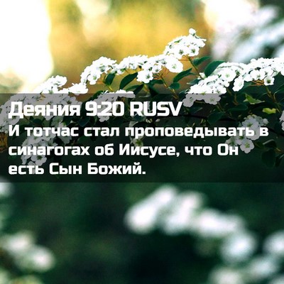 Picture 02 - Деяния 9:20 RUSV - И тотчас стал - Bible Verse Picture
