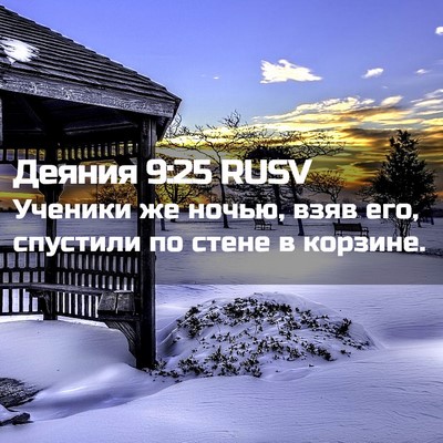 Picture 02 - Деяния 9:25 RUSV - Ученики же ночью, взяв его, - Bible Verse Picture