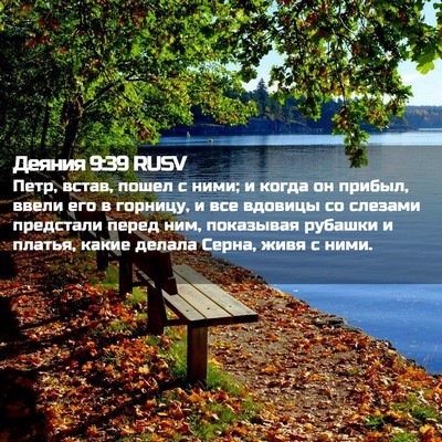 Picture 02 - Деяния 9:39 RUSV - Петр, встав, пошел с ними; и - Bible Verse Picture