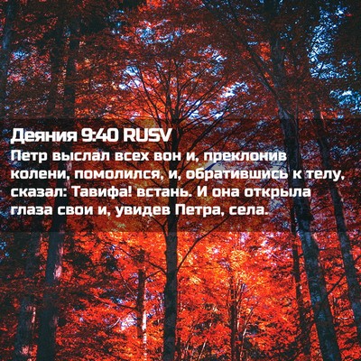 Picture 02 - Деяния 9:40 RUSV - Петр выслал всех вон и, - Bible Verse Picture