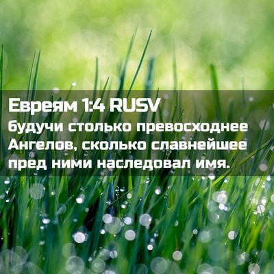 Picture 02 - Евреям 1:4 RUSV - будучи столько - Bible Verse Picture