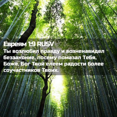 Picture 02 - Евреям 1:9 RUSV - Ты возлюбил правду и - Bible Verse Picture