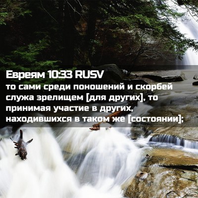 Picture 02 - Евреям 10:33 RUSV - то сами среди поношений и - Bible Verse Picture