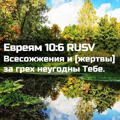 Picture 02 - Евреям 10:6 RUSV - Всесожжения и [жертвы] за - Bible Verse Picture