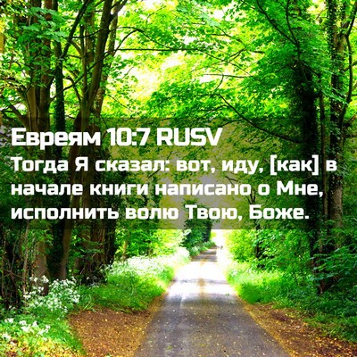 Picture 02 - Евреям 10:7 RUSV - Тогда Я сказал: вот, иду, - Bible Verse Picture