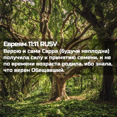 Picture 02 - Евреям 11:11 RUSV - Верою и сама Сарра (будучи - Bible Verse Picture