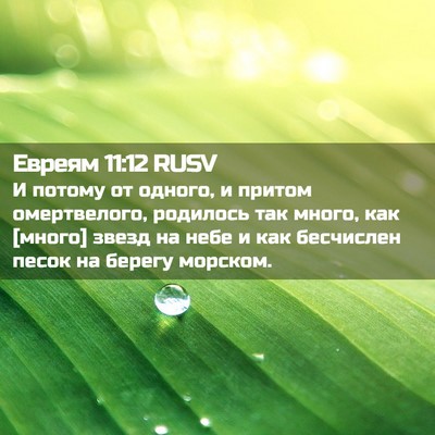 Picture 02 - Евреям 11:12 RUSV - И потому от одного, и - Bible Verse Picture