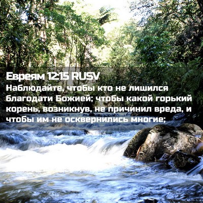 Picture 02 - Евреям 12:15 RUSV - Наблюдайте, чтобы кто не - Bible Verse Picture