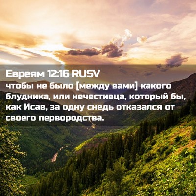 Picture 02 - Евреям 12:16 RUSV - чтобы не было [между вами] - Bible Verse Picture
