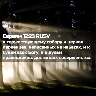 Picture 02 - Евреям 12:23 RUSV - к торжествующему собору и - Bible Verse Picture