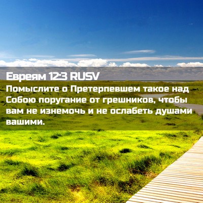 Picture 02 - Евреям 12:3 RUSV - Помыслите о Претерпевшем - Bible Verse Picture