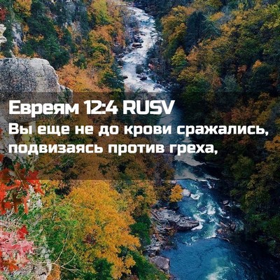 Picture 02 - Евреям 12:4 RUSV - Вы еще не до крови - Bible Verse Picture