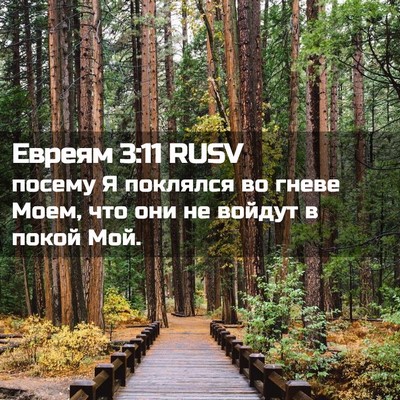 Picture 02 - Евреям 3:11 RUSV - посему Я поклялся во гневе - Bible Verse Picture
