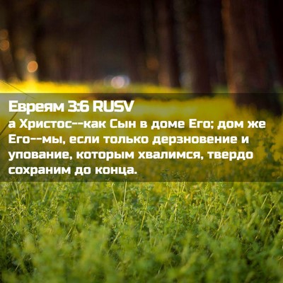 Picture 02 - Евреям 3:6 RUSV - а Христос--как Сын в доме - Bible Verse Picture