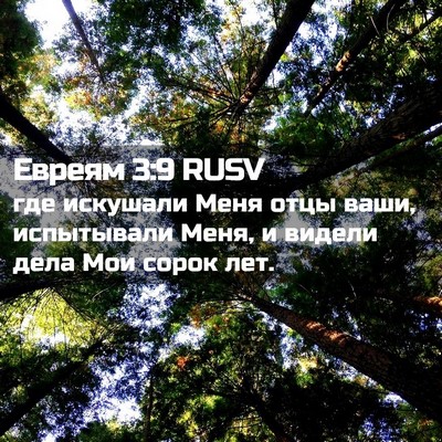 Picture 02 - Евреям 3:9 RUSV - где искушали Меня отцы - Bible Verse Picture