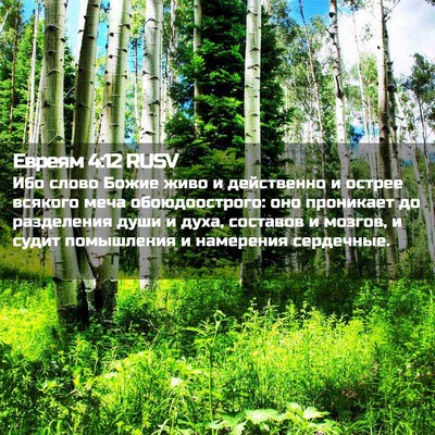 Picture 02 - Евреям 4:12 RUSV - Ибо слово Божие живо и - Bible Verse Picture