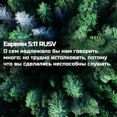 Picture 02 - Евреям 5:11 RUSV - О сем надлежало бы нам - Bible Verse Picture