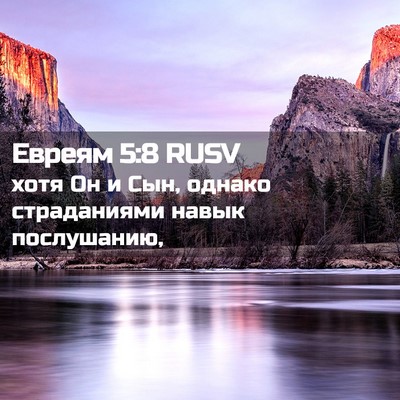 Picture 02 - Евреям 5:8 RUSV - хотя Он и Сын, однако - Bible Verse Picture