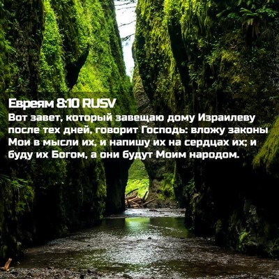 Picture 02 - Евреям 8:10 RUSV - Вот завет, который завещаю - Bible Verse Picture