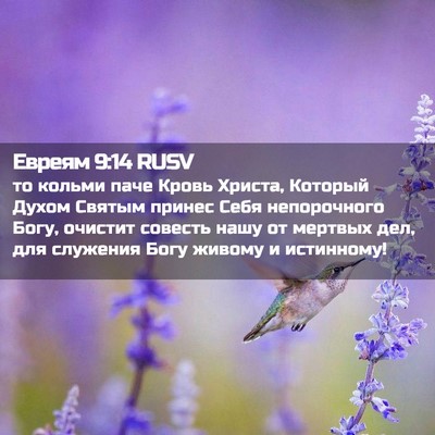 Picture 02 - Евреям 9:14 RUSV - то кольми паче Кровь - Bible Verse Picture