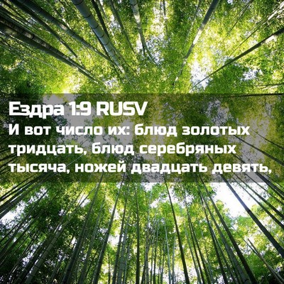 Picture 02 - Ездра 1:9 RUSV - И вот число их: блюд - Bible Verse Picture