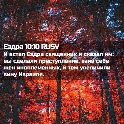 Picture 02 - Ездра 10:10 RUSV - И встал Ездра священник и - Bible Verse Picture