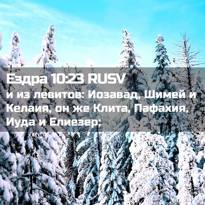 Picture 02 - Ездра 10:23 RUSV - и из левитов: Иозавад, - Bible Verse Picture