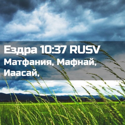 Picture 02 - Ездра 10:37 RUSV - Матфания, Мафнай, - Bible Verse Picture