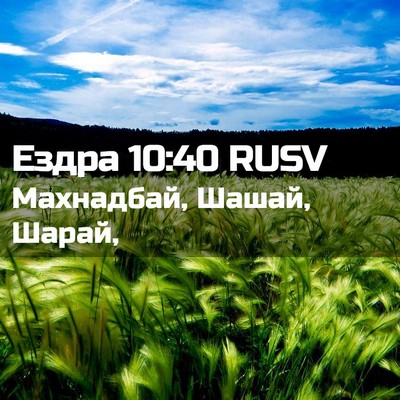 Picture 02 - Ездра 10:40 RUSV - Махнадбай, Шашай, - Bible Verse Picture