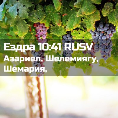 Picture 02 - Ездра 10:41 RUSV - Азариел, Шелемиягу, - Bible Verse Picture