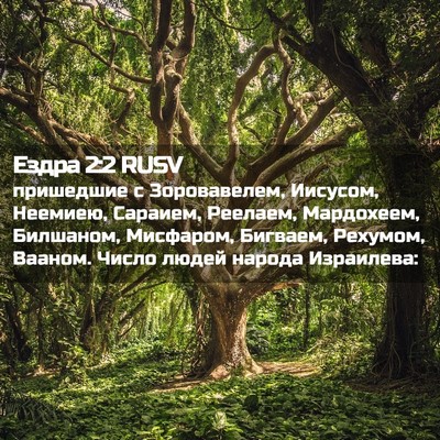 Picture 02 - Ездра 2:2 RUSV - пришедшие с Зоровавелем, - Bible Verse Picture
