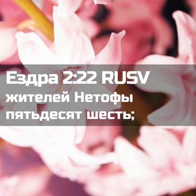 Picture 02 - Ездра 2:22 RUSV - жителей Нетофы пятьдесят - Bible Verse Picture