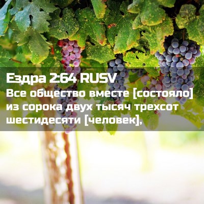 Picture 02 - Ездра 2:64 RUSV - Все общество вместе - Bible Verse Picture