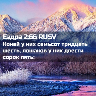 Picture 02 - Ездра 2:66 RUSV - Коней у них семьсот - Bible Verse Picture