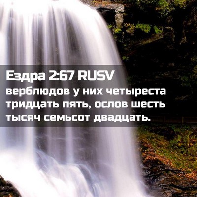 Picture 02 - Ездра 2:67 RUSV - верблюдов у них четыреста - Bible Verse Picture