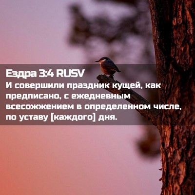 Picture 02 - Ездра 3:4 RUSV - И совершили праздник - Bible Verse Picture