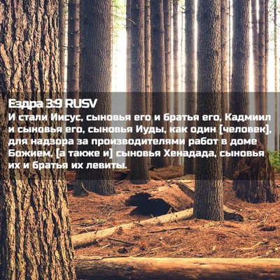 Picture 02 - Ездра 3:9 RUSV - И стали Иисус, сыновья его - Bible Verse Picture