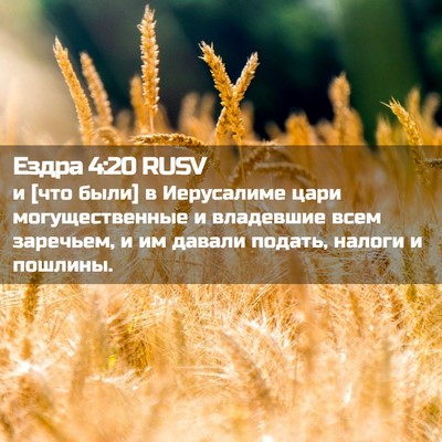 Picture 02 - Ездра 4:20 RUSV - и [что были] в Иерусалиме - Bible Verse Picture