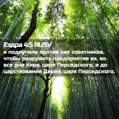 Picture 02 - Ездра 4:5 RUSV - и подкупали против них - Bible Verse Picture